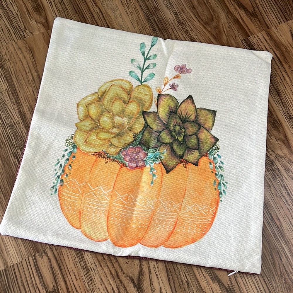 NEW!! Decocrated pillow from 2019 fall box